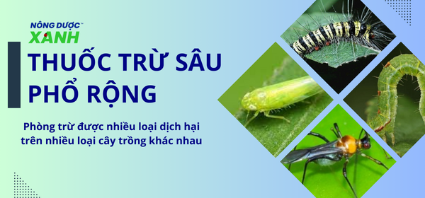 Thuốc trừ sâu phổ rộng - giải pháp phòng trừ đa dạng sâu hại