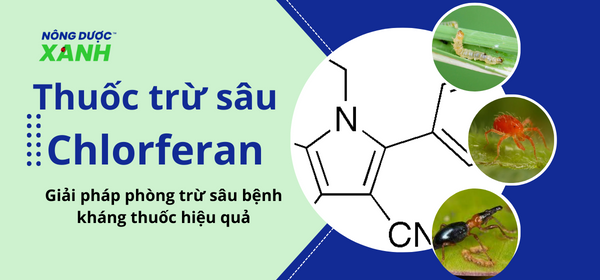 Thuốc trừ sâu Chlorferan – giải pháp diệt sâu kháng thuốc hiệu quả