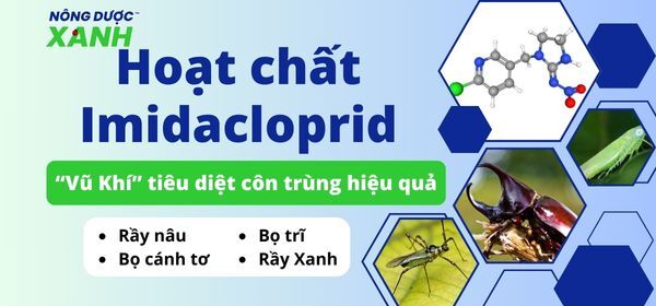 Hoạt chất Imidacloprid “Vũ Khí” tiêu diệt côn trùng hiệu quả