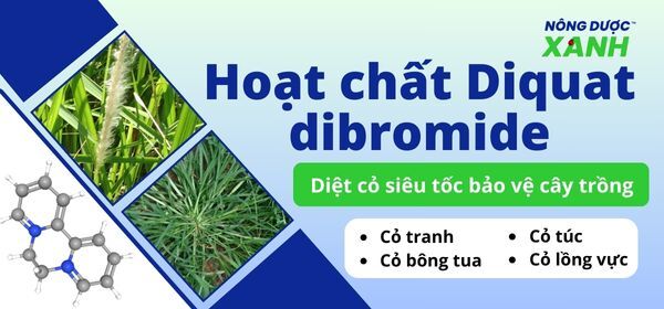 Hoạt chất Diquat dibromide diệt cỏ siêu tốc bảo vệ cây trồng