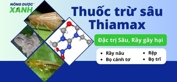 Thuốc trừ sâu Thiamax đặc trị Sâu, Rầy gây hại trên cây trồng