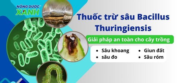 Thuốc trừ sâu Bacillus Thuringiensis - Giải pháp an toàn cho cây trồng