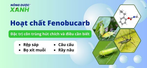 Hoạt chất Fenobucarb - đặc trị côn trùng hút chích và điều cần biết