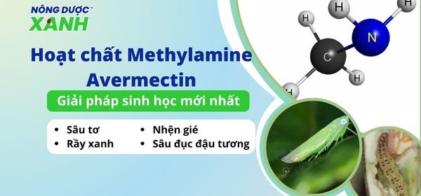 Hoạt chất Methylamine Avermectin - Giải pháp sinh học mới nhất