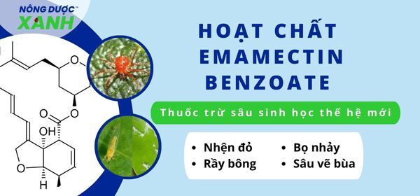 Hoạt chất Emamectin Benzoate - Thuốc trừ sâu sinh học thế hệ mới