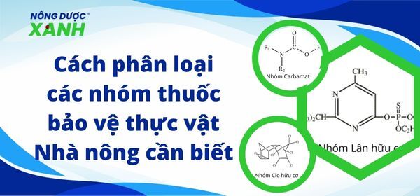 Cách phân loại các nhóm thuốc bảo vệ thực vật Nhà nông cần biết