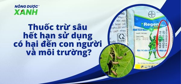 Thuốc trừ sâu hết hạn sử dụng gây hại đến con người và môi trường