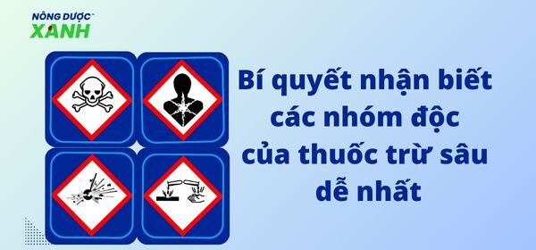 Bí quyết nhận biết các nhóm độc của thuốc trừ sâu dễ nhất