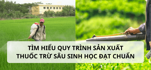 Tìm hiểu quy trình sản xuất thuốc trừ sâu sinh học đạt chuẩn
