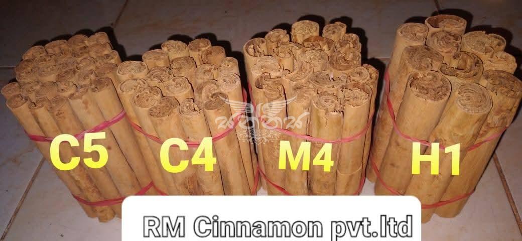 Cinnamon Sticks