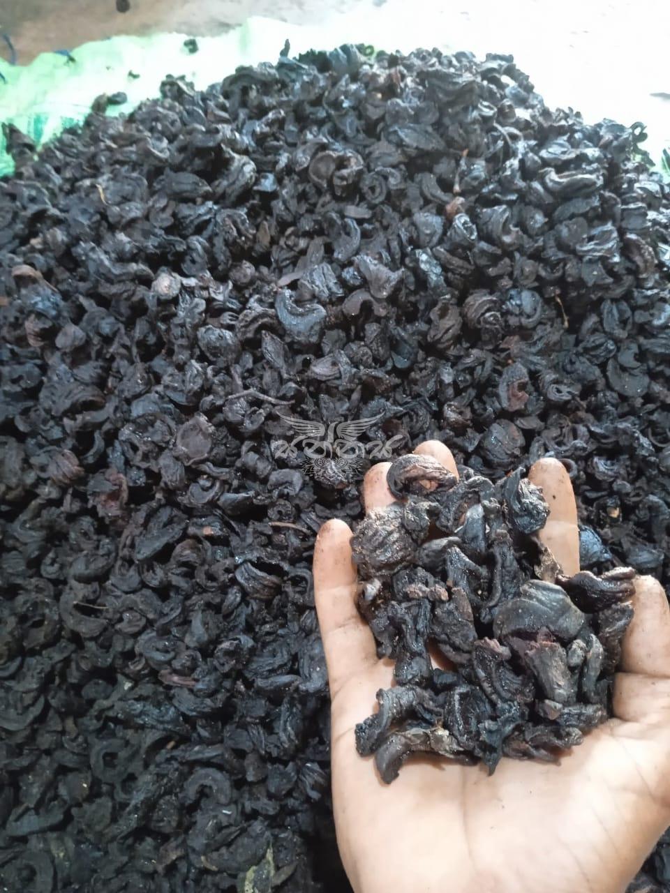 පිරිසිදු ගොරකා