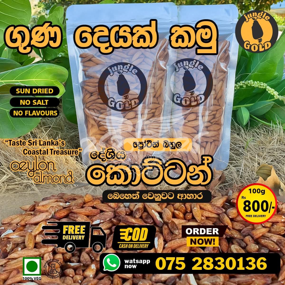 Ceylon Almond 