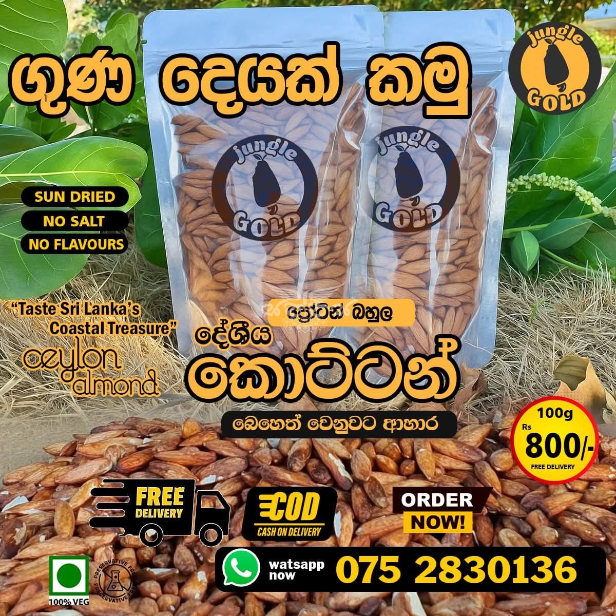 Ceylon Almond 