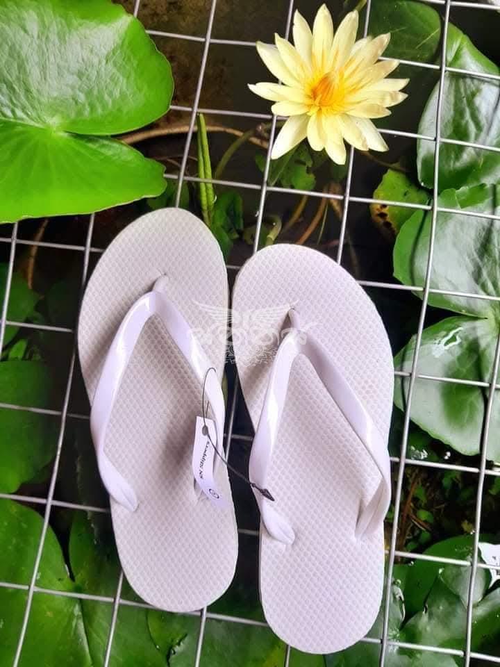 SN Slippers