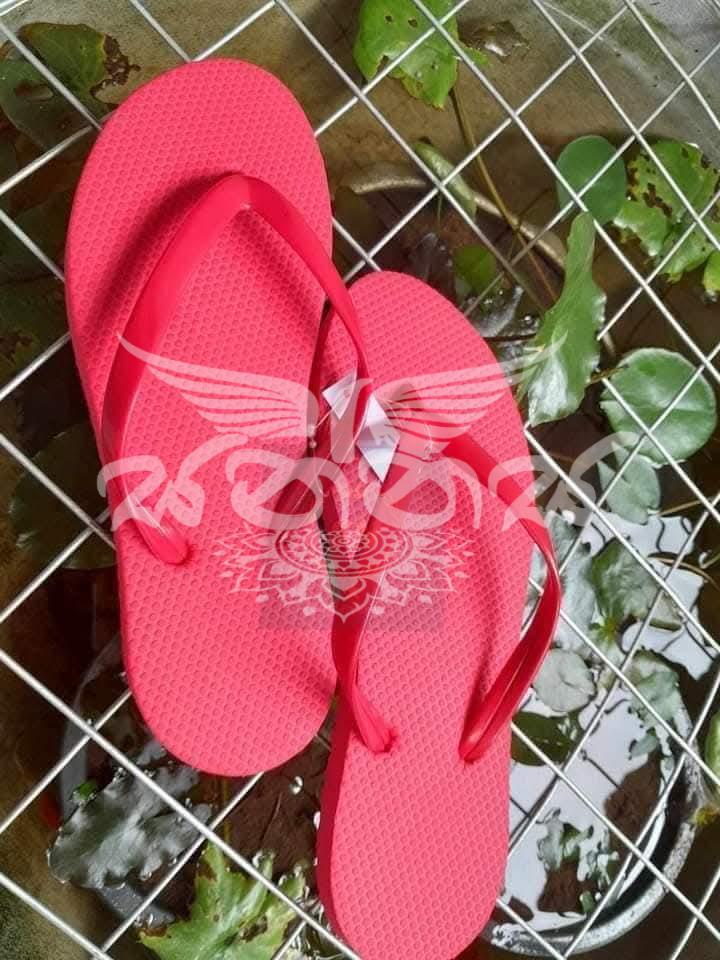 SN Slippers