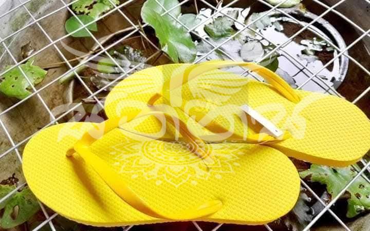 SN Slippers