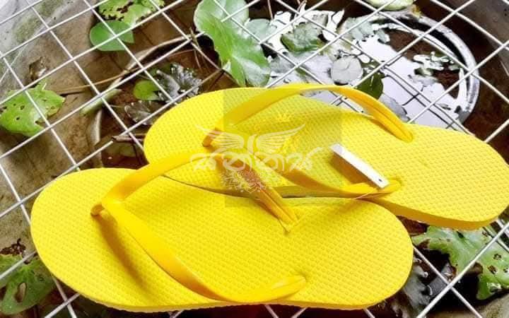 SN Slippers