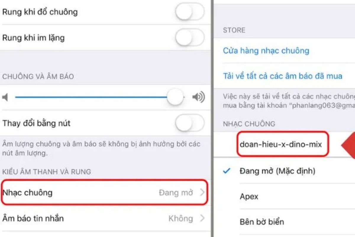 Bạn có thể chọn nhạc chuông và điều chỉnh âm lượng theo ý muốn