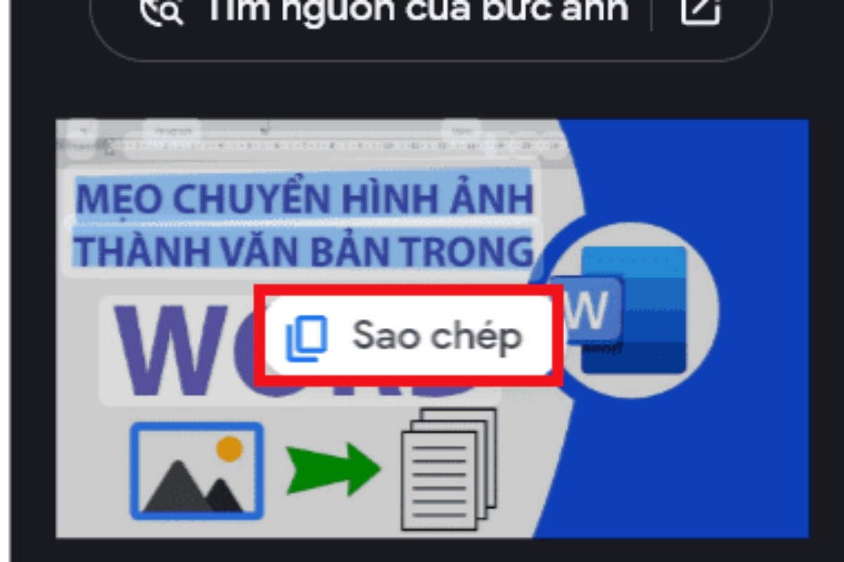 Sao chép văn bản