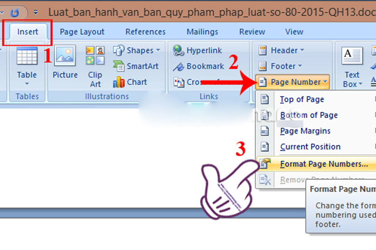 Chọn Insert > Page numbers > Format page number