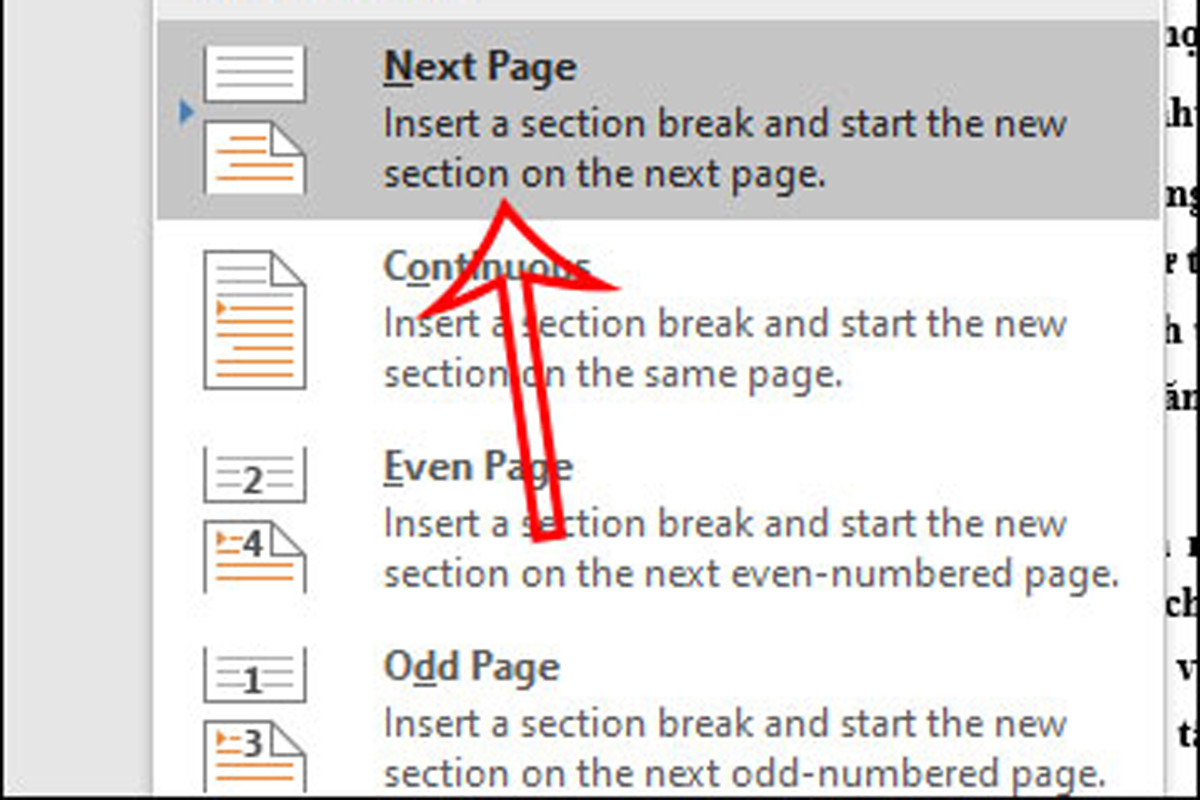 Với cách đánh số trang bất kỳ trong Word 2019, bạn click vào mục Breaks rồi nhìn xuống bên dưới tại Section Breaks rồi chọn Next Page để tiến hành đặt Section cho trang