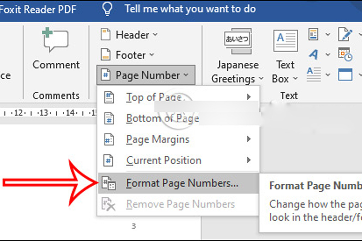 Tại Page Number chọn Format Page Number