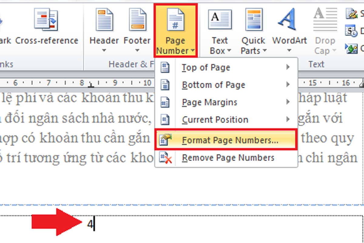 Màn hình sẽ hiển thị các tùy chọn và bạn hãy ấn chọn mục Format Page Numbers