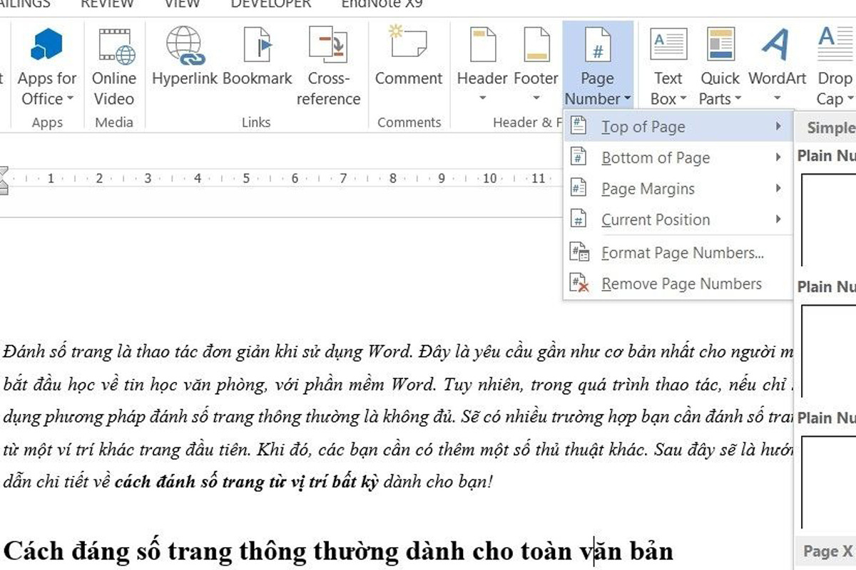 Cách đánh số trang thông thường dành cho toàn văn bản