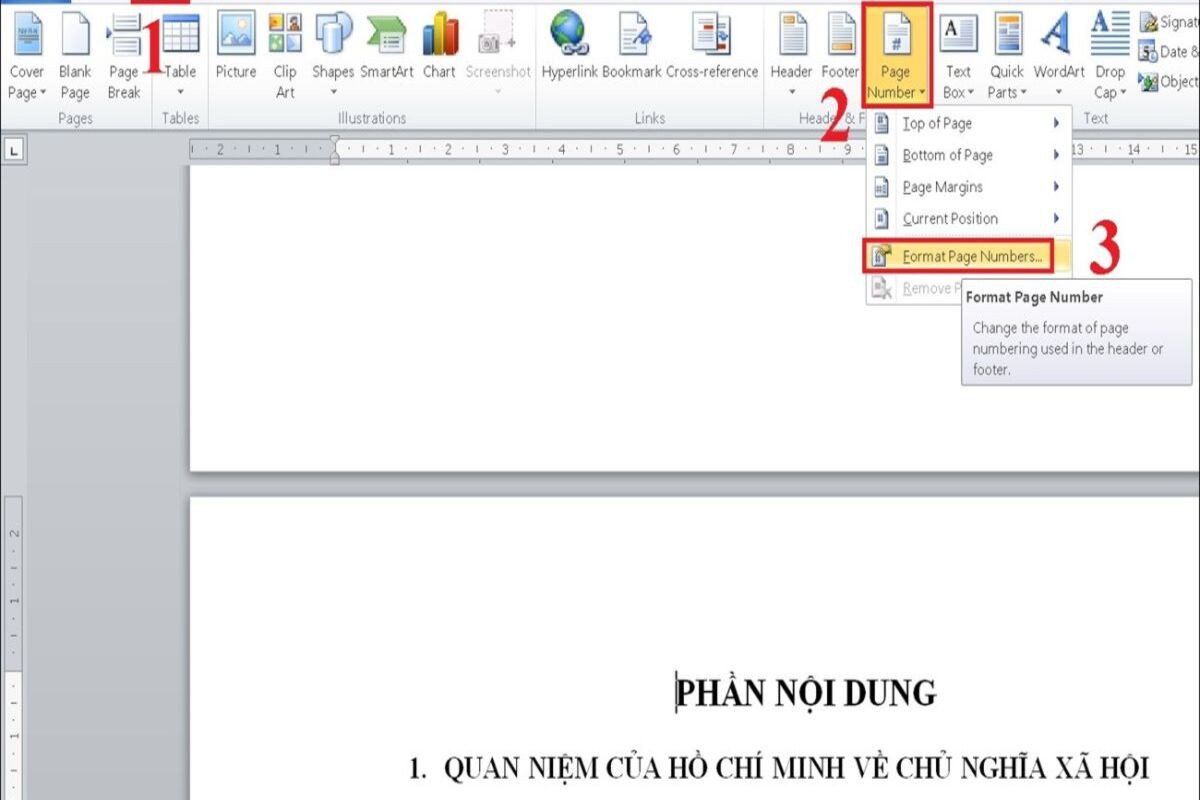 Chọn Format Page Numbers để định dạng số trang