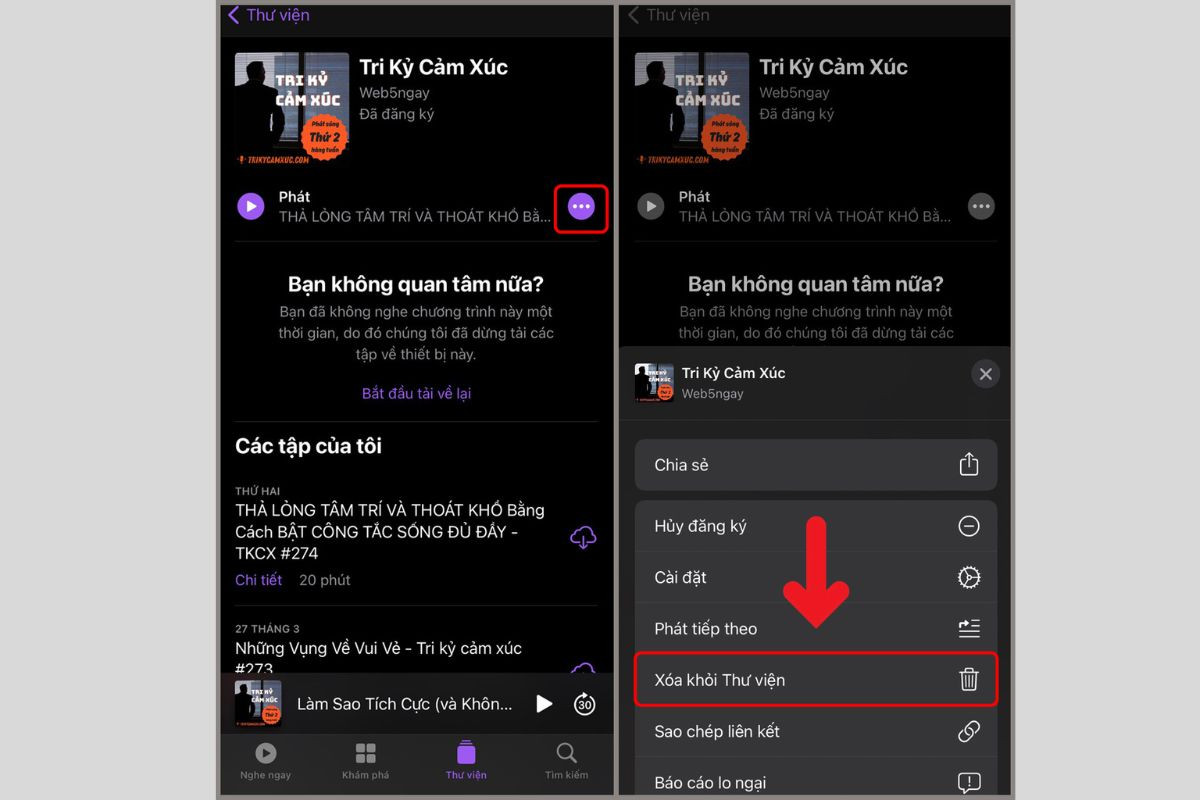 Chọn dấu ba chấm nằm cạnh bài podcast muốn xóa và nhấn chọn Xóa khỏi thư viện