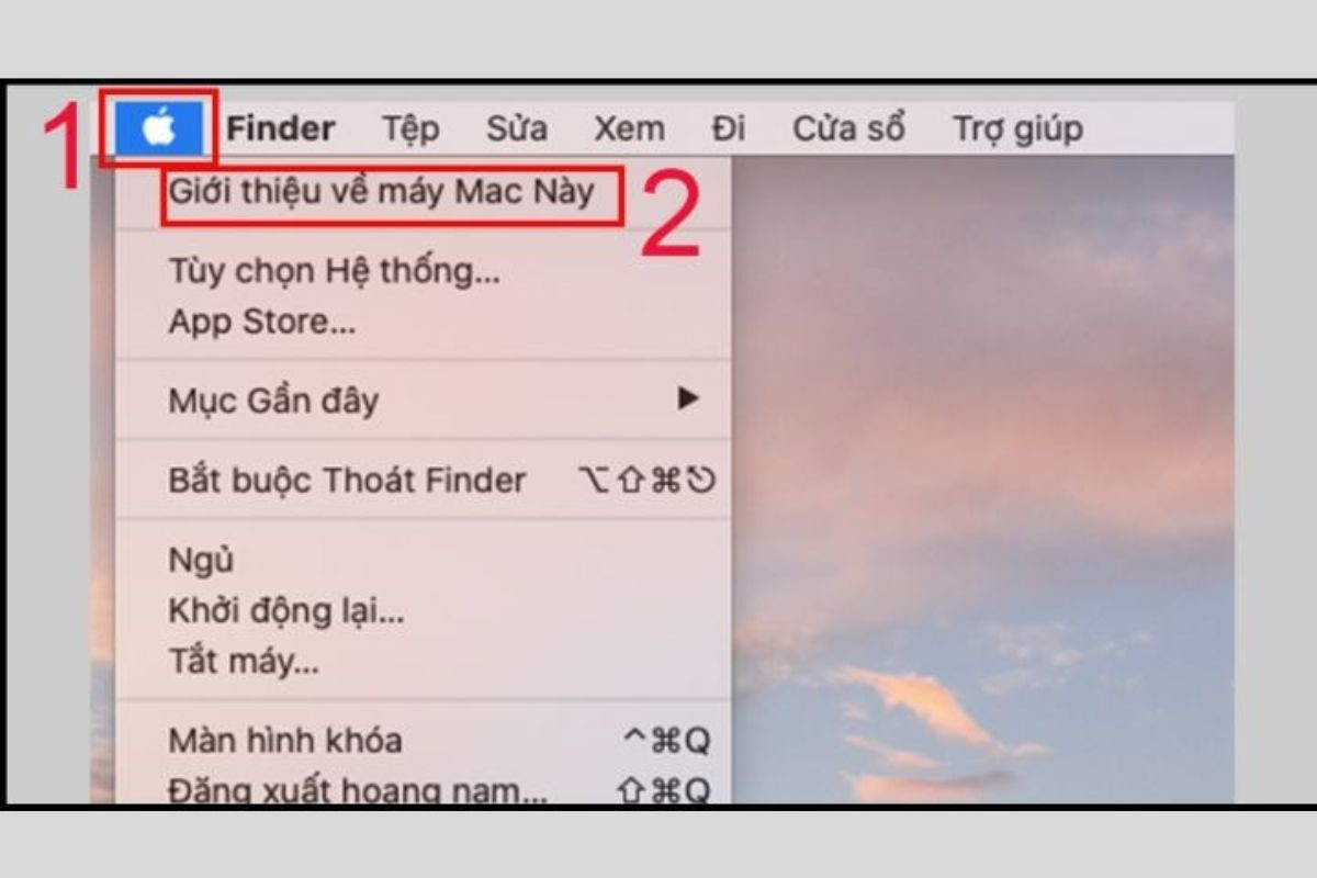 Nhấn chọn vào biểu tượng Apple và chọn tiếp Giới thiệu về máy Mac này (About this Mac)