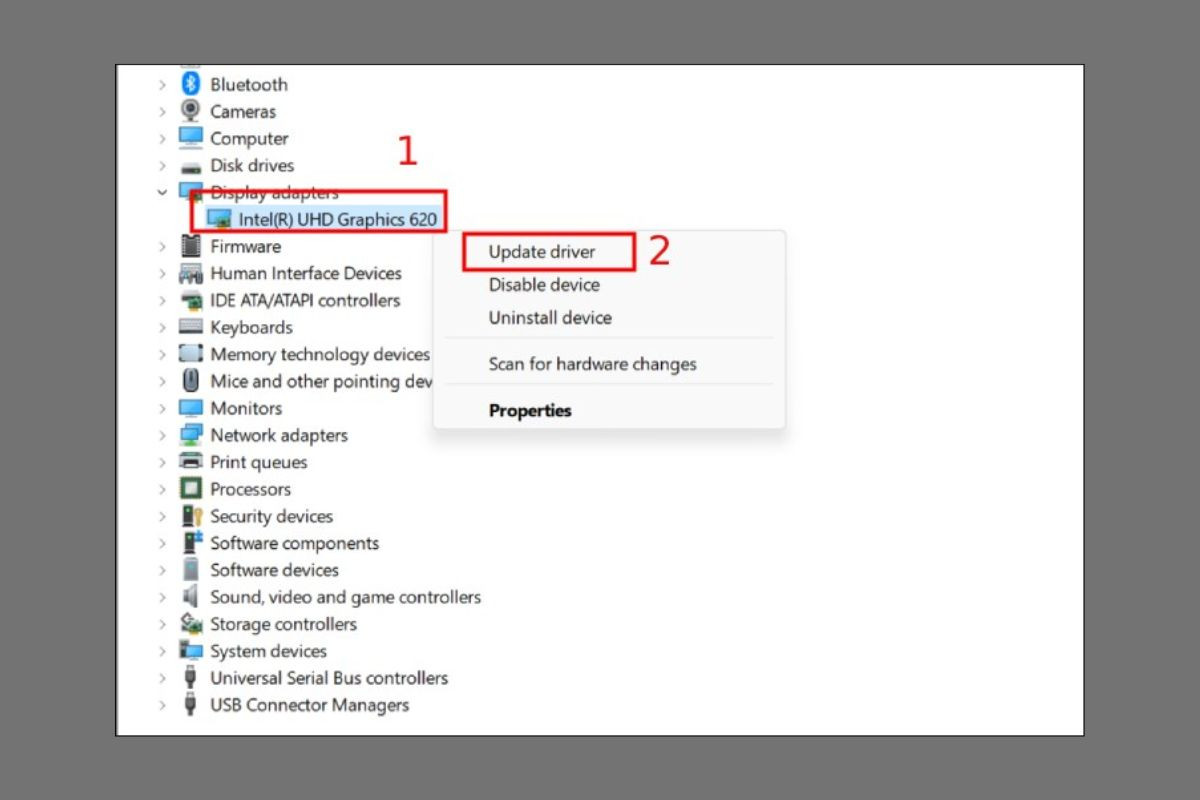 Chọn Update driver trong chuột phải Display adapters