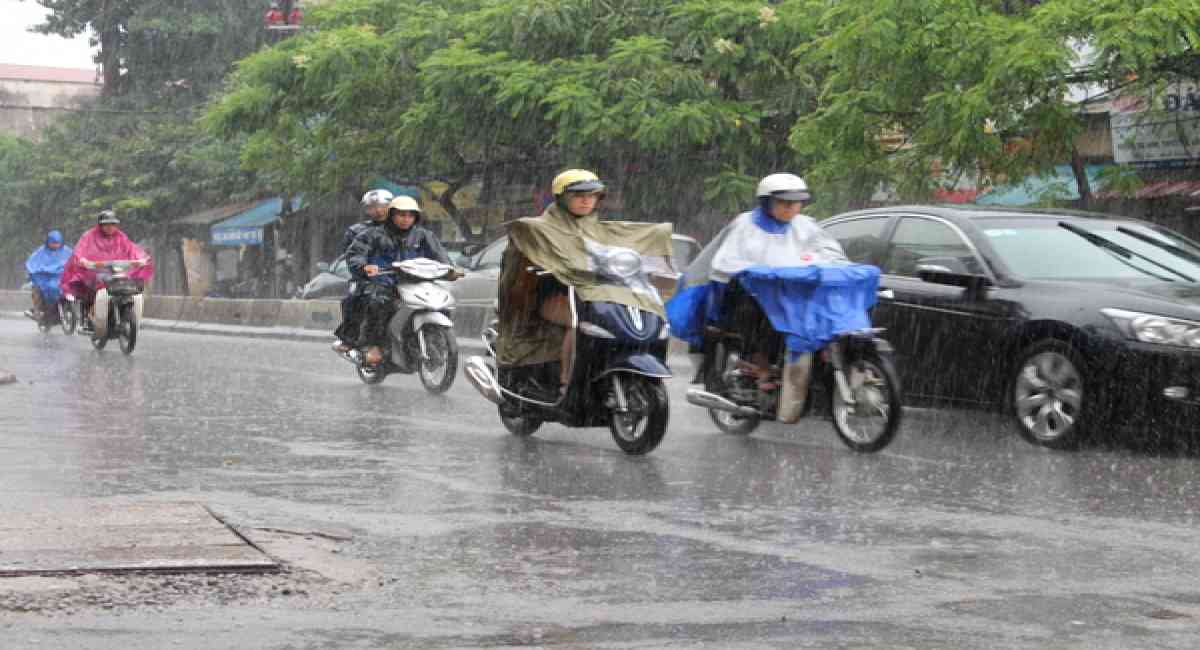 Thời tiết 7 ngày tới từ 24/6/2024 đến 30/6/2024: Hà Nội mưa rào và dông vào chiếu và tối