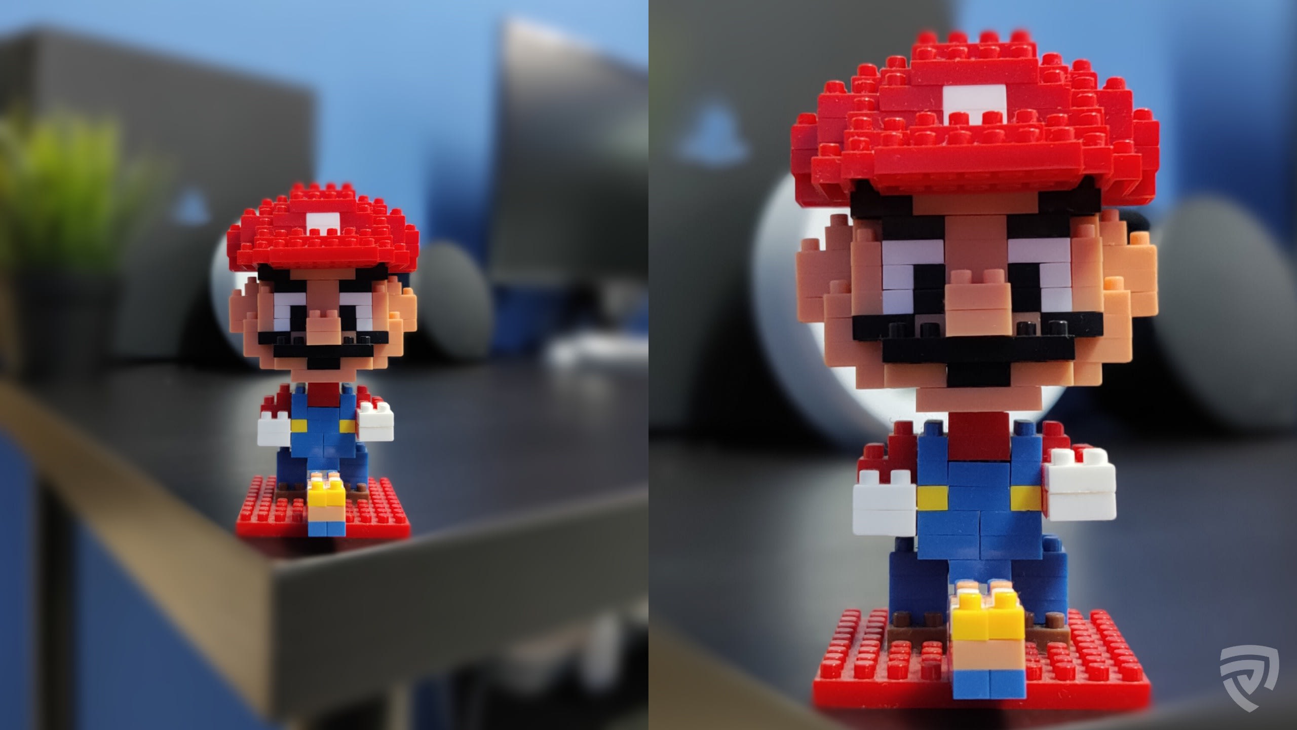 portrait comparison.jpg