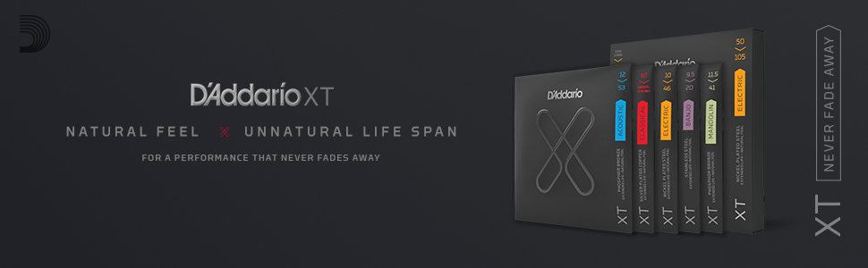 D'Addario XT
