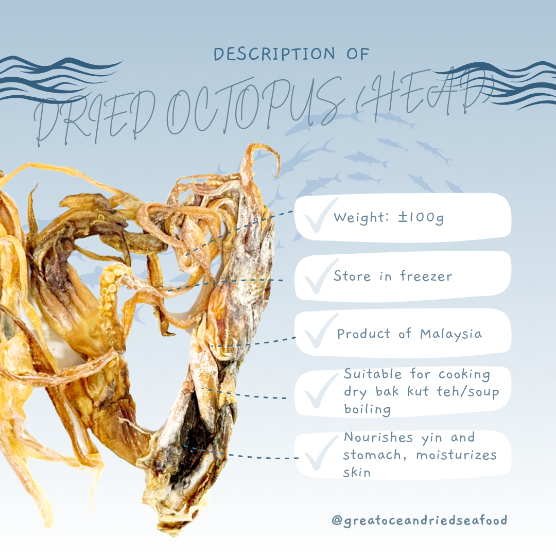 English dried octopus head information card with tentacles｜黄鸡仑头英文说明图与干墨鱼头