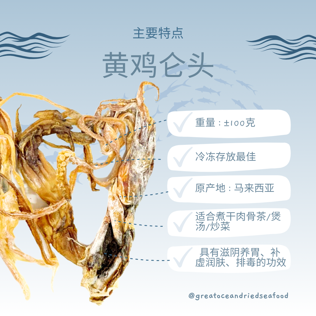 Chinese dried octopus head information card with tentacles｜黄鸡仑头中文说明图与干墨鱼头