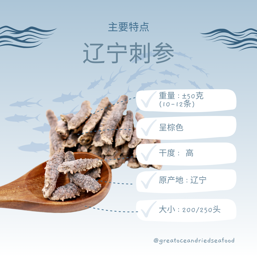 Chinese product information card showing dried Liaoning sea cucumbers|辽宁刺参中文产品说明图与干海参