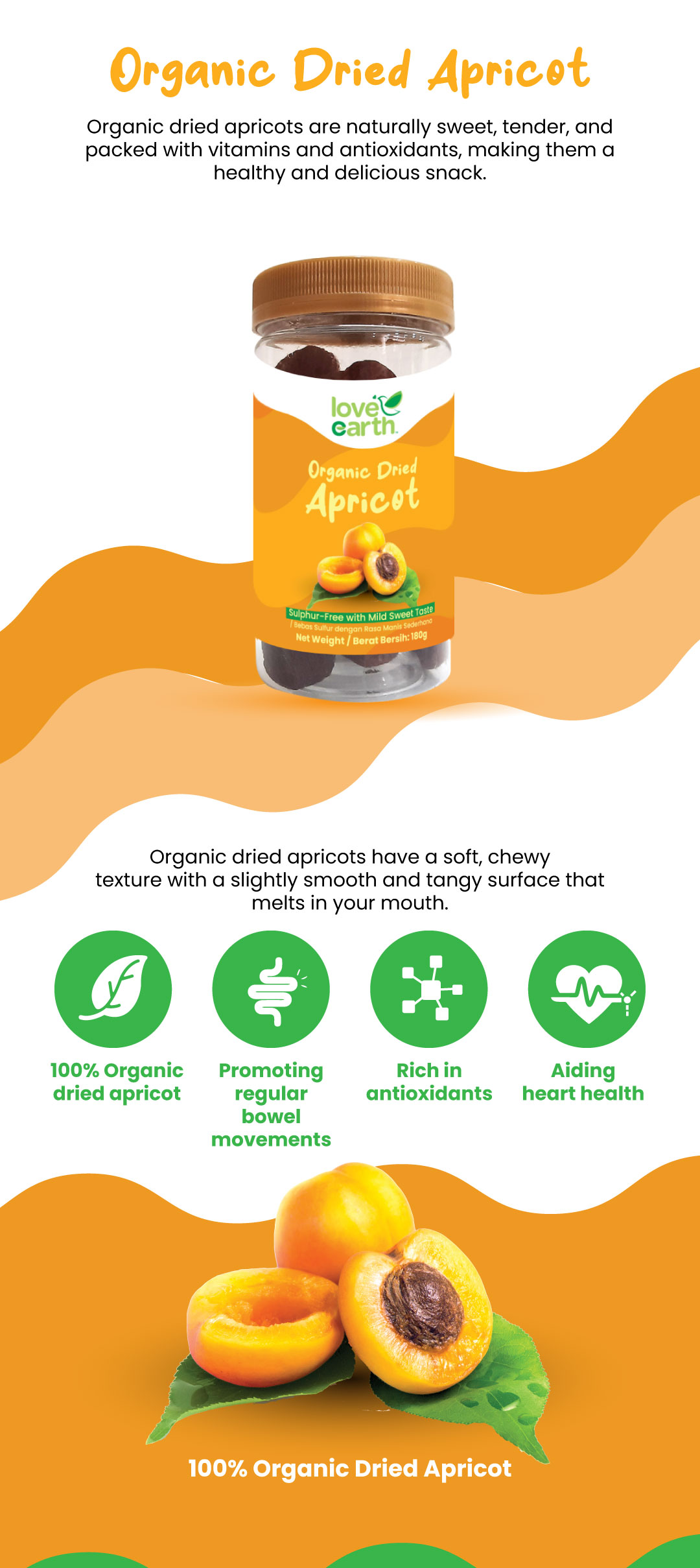 Organic_Dried_Apricot_1_1740627306.jpg