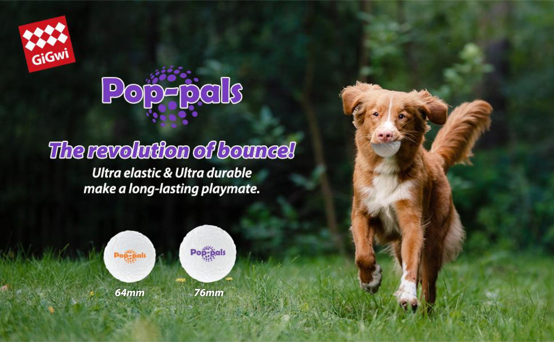 GiGwi Pop-pals are made of non-toxic, durable, food-grade and environmentally friendly E-TPU material. Not breaking easily but super lightweight & easy to play. Great for indoor & outdoor activities. Easy to clean after play.