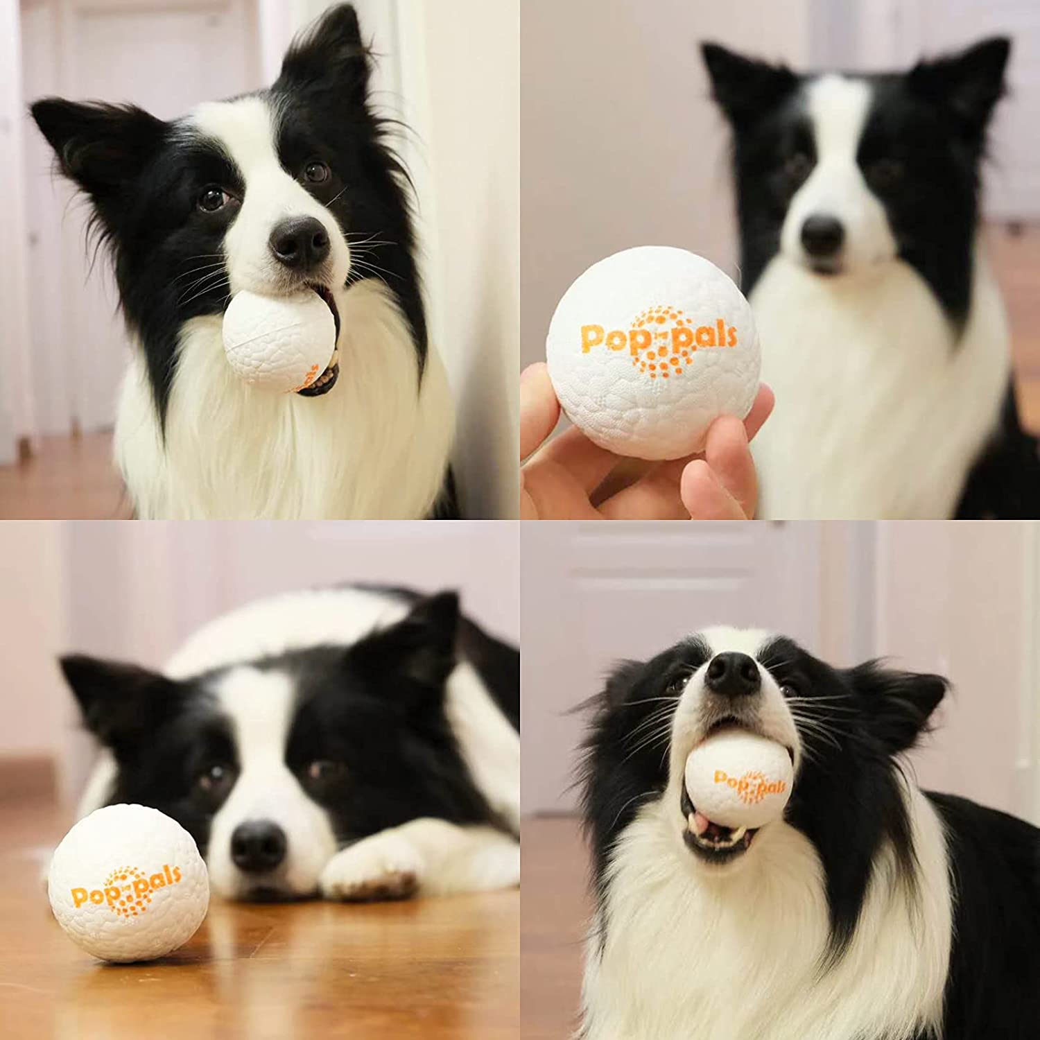 GiGwi Pop-pals are made of non-toxic, durable, food-grade and environmentally friendly E-TPU material. Not breaking easily but super lightweight & easy to play. Great for indoor & outdoor activities. Easy to clean after play.