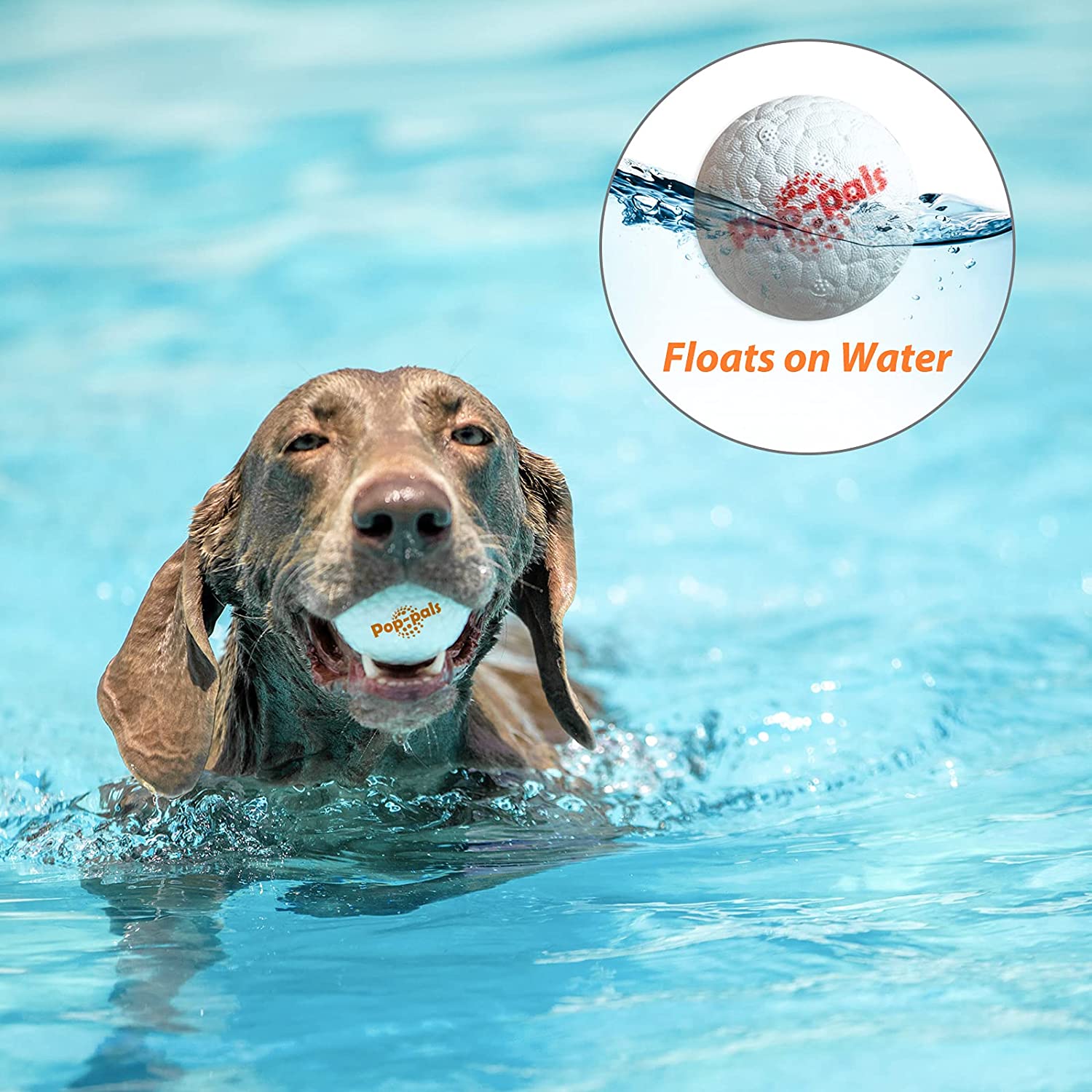 GiGwi Pop-pals are made of non-toxic, durable, food-grade and environmentally friendly E-TPU material. Not breaking easily but super lightweight & easy to play. Great for indoor & outdoor activities. Easy to clean after play.