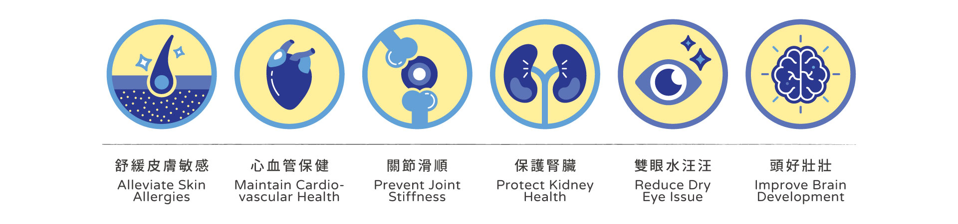 保養好膚質外 Omega-3 的六大好處  ─  Besides than skin health, Omega-3 has 6 major benefits!