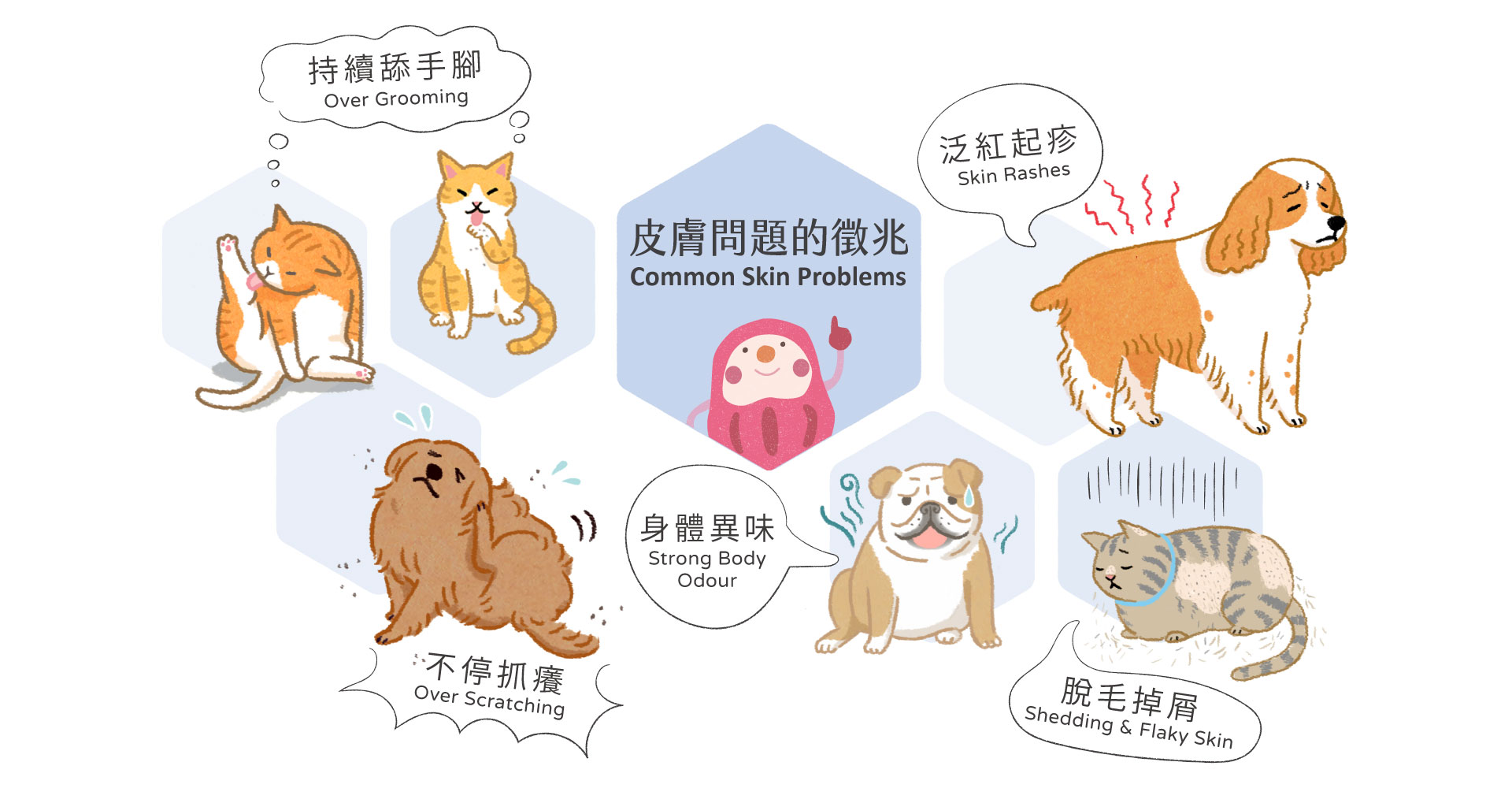 毛孩肌膚過敏徵兆要注意, Furkid with sensitive skins required more attention.Over Grooming,Skin Rashes