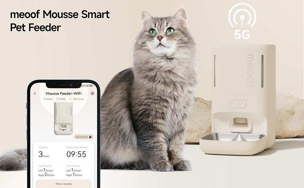 5G wifi connection