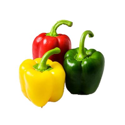 sweet pepper seeds benih soon huat seeds malaysia