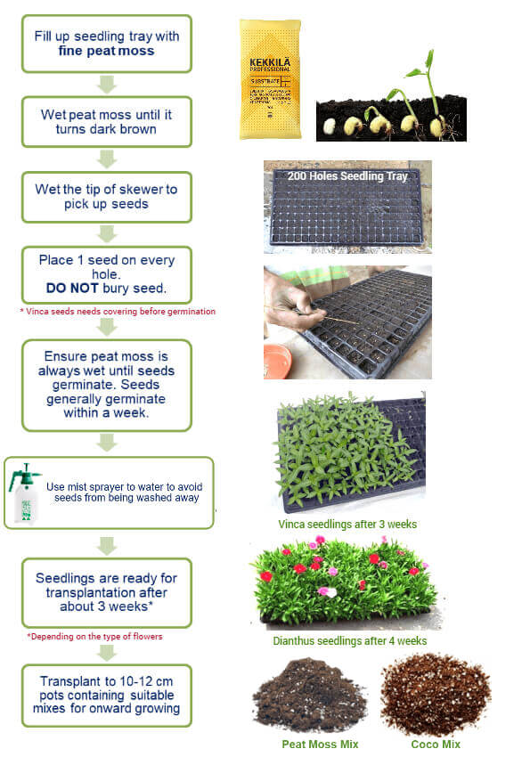 led lights and growing plants SuncoGrow, LED Grow Light, 2ft, 20W Full Spectrum, Linkable – Sunco Lighting main image 0