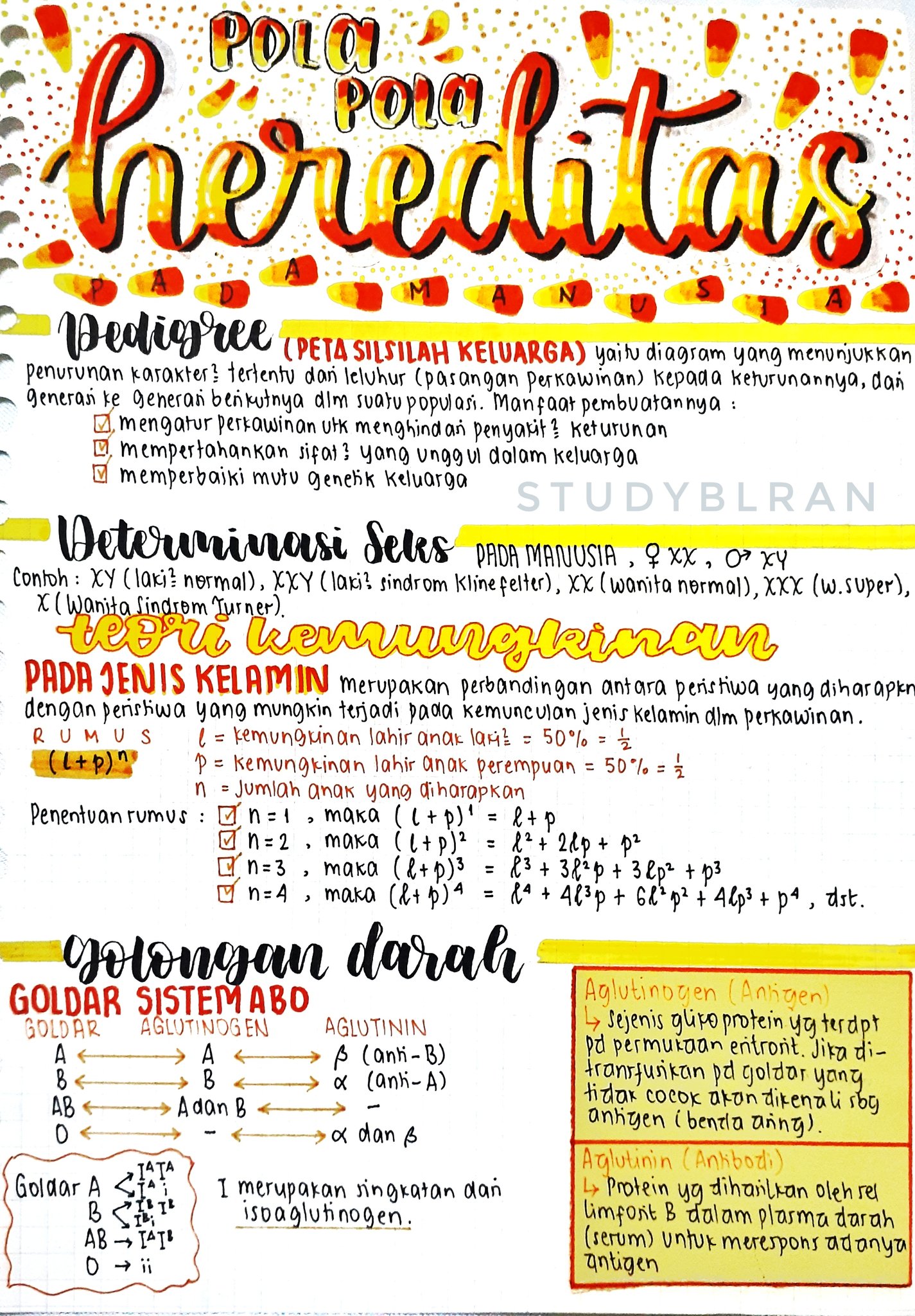 Ambisnotes | Pola-pola Hereditas Kelas 12 - Ambisnotes
