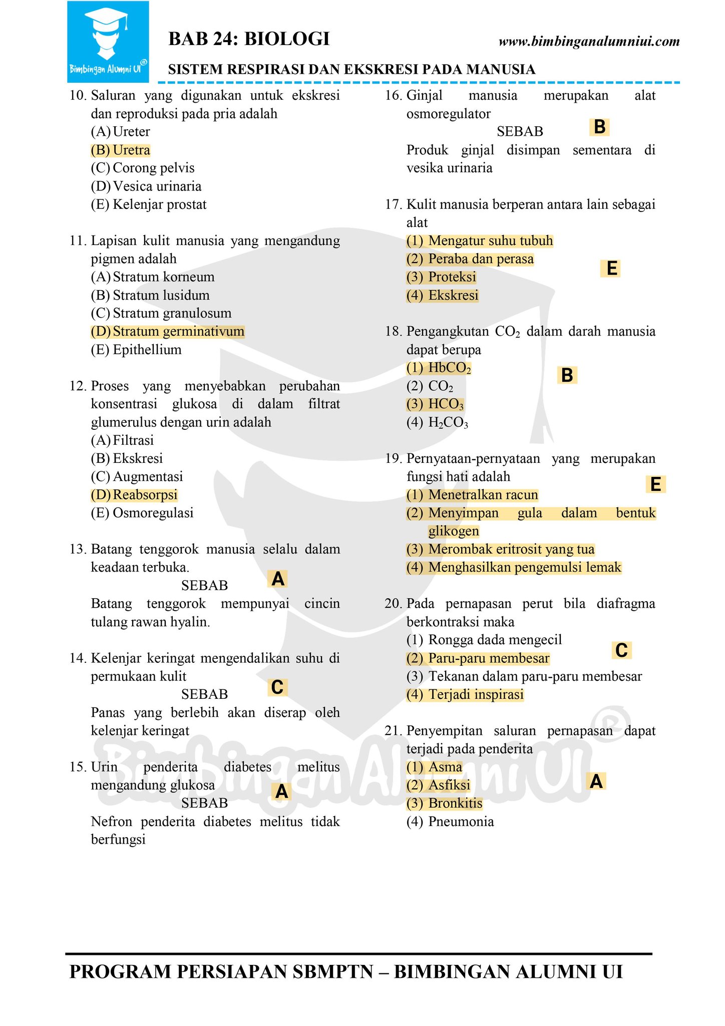 Ambisnotes | Soal Biologi Sitem Respirasi dan Eksresi Pada Manusia