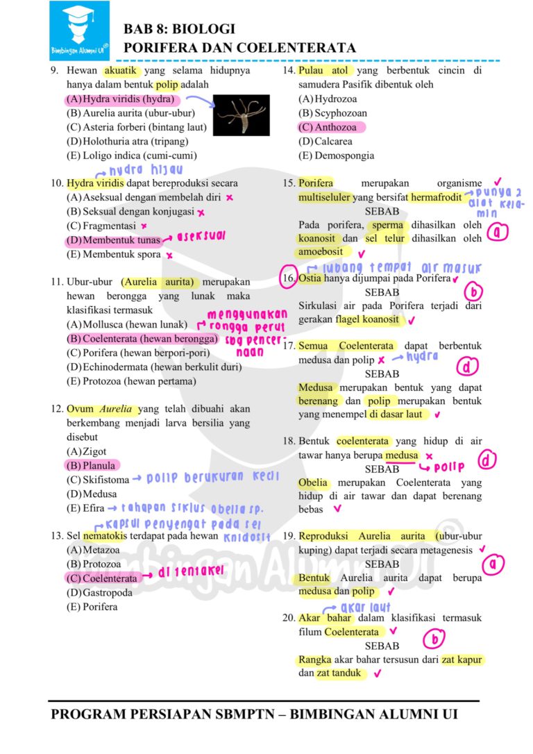 Ambisnotes | Soal Biologi Porifera dan Coelenterata - Ambisnotes